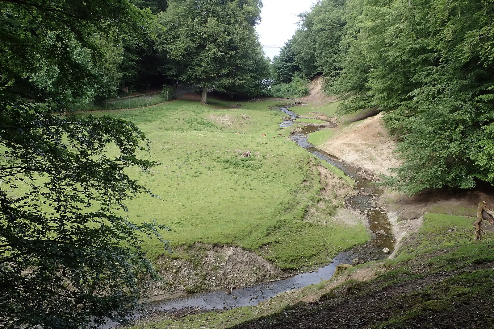 The view over the Marselisborg woods near Aarhus