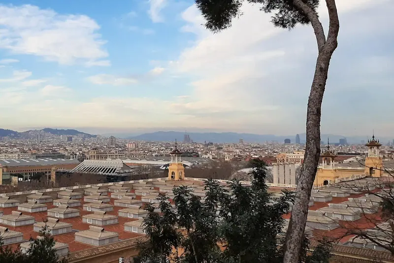 Barcelona seen from a hillside, with the sea beyond