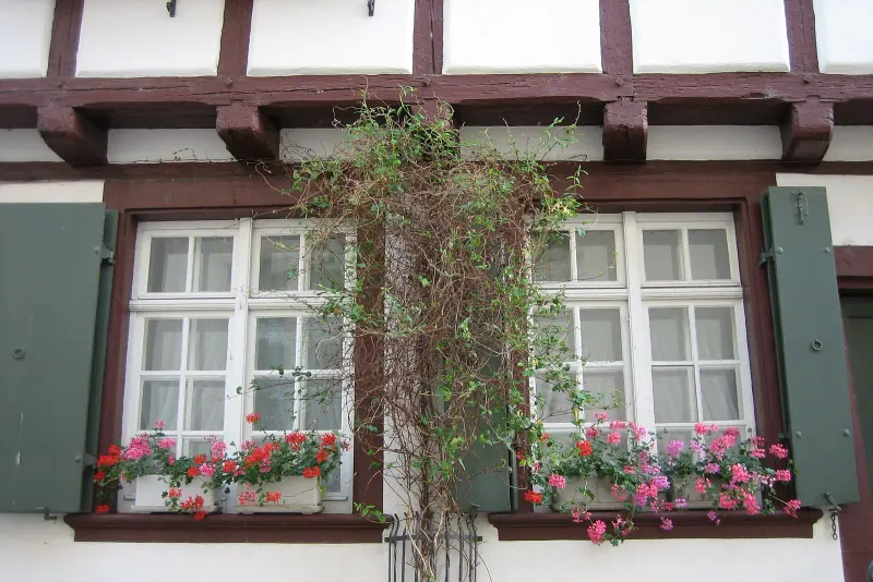 Basel's old town lanes