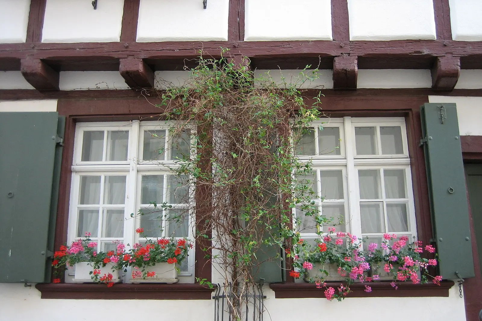 Basel's old town lanes