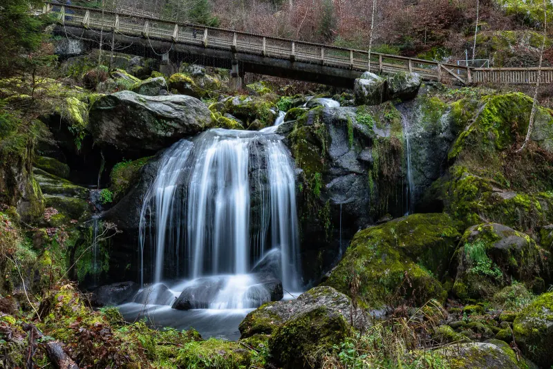 The Triberg waterfalls cascading through the forest