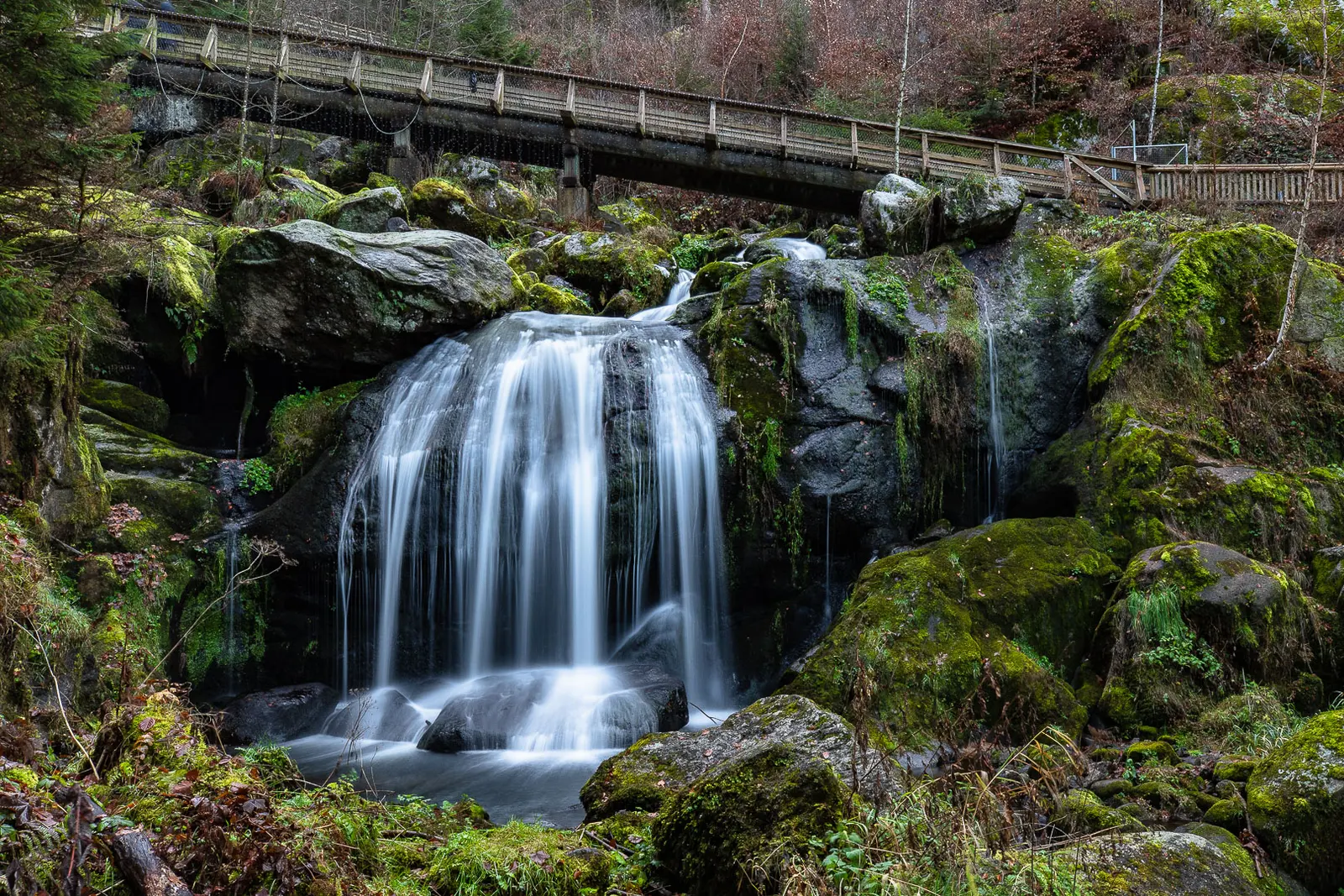 The Triberg waterfalls cascading through the forest