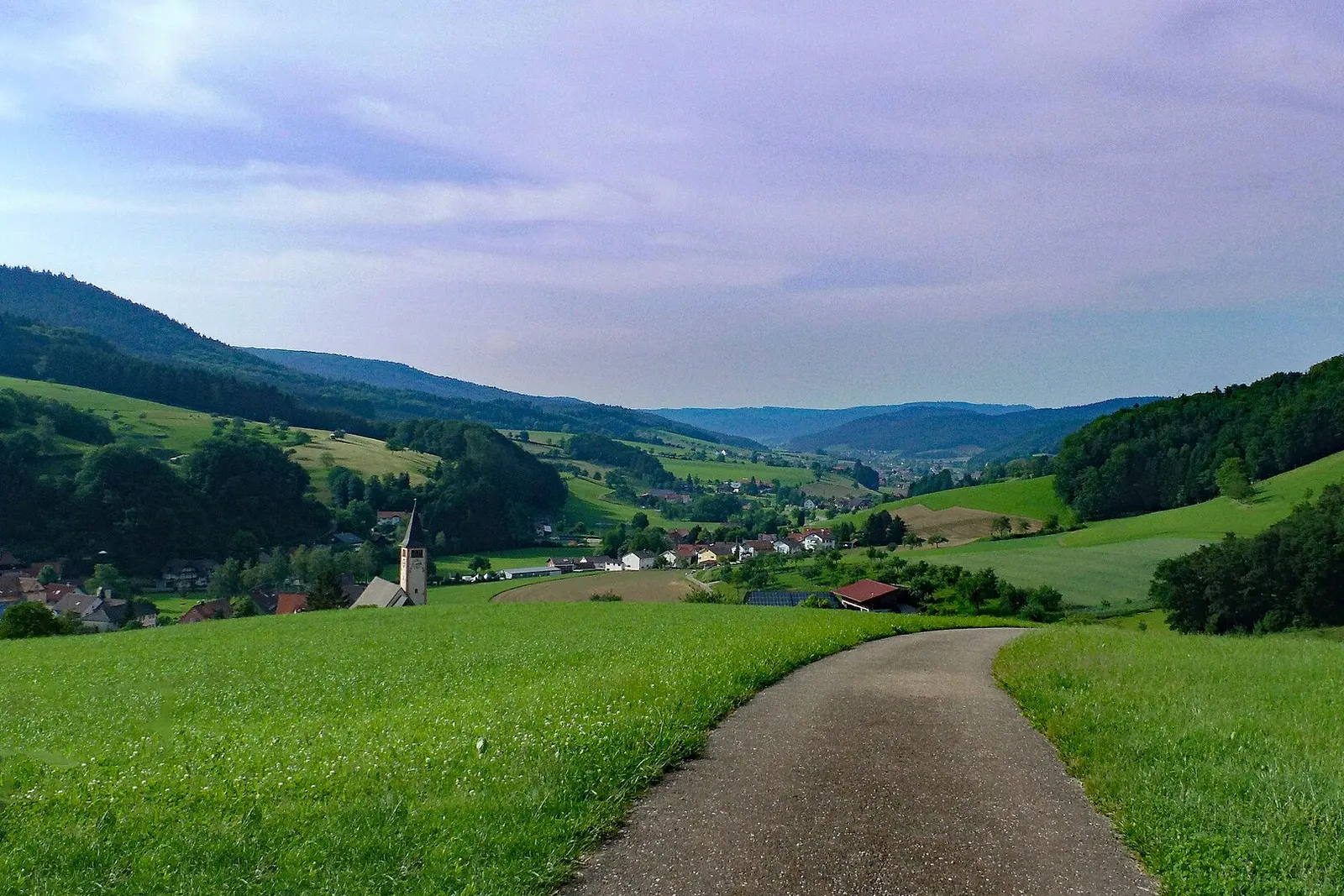 Green hills and forest in the Black Forest countryside