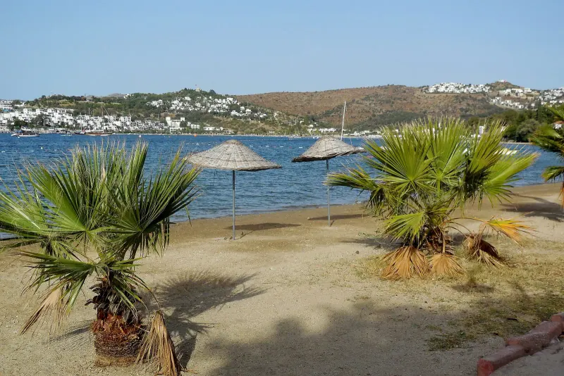 Sandy Bitez bay with thatched sunshades and palms and white houses climbing the hillside beyond