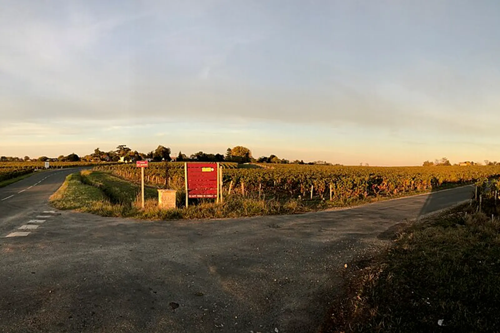 Autumn rows of vines in a Bordeaux vineyard