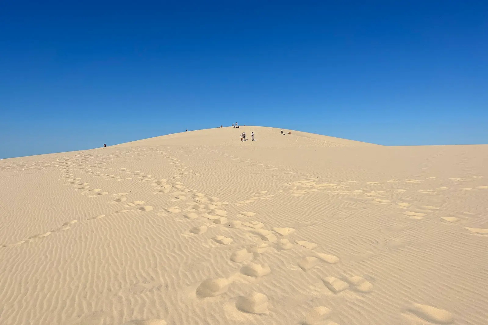 Visitors on the crest of the Dune du Pilat above the Atlantic