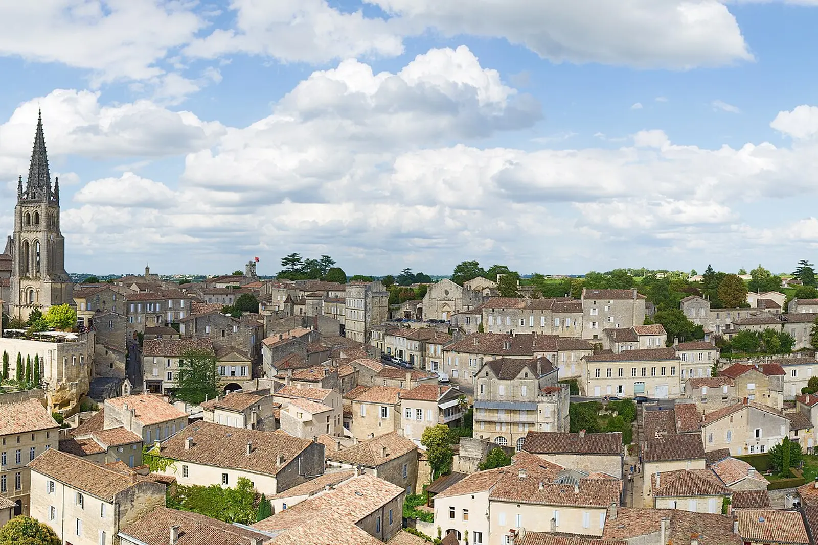 Rooftops and the church spire of Saint-Emilion surrounded by vineyards