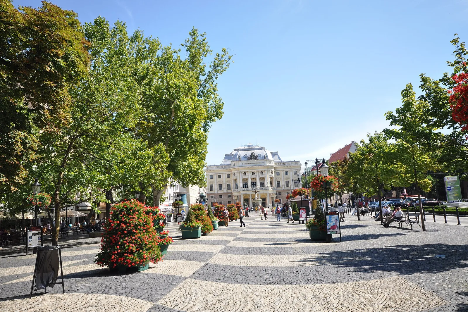 The tree-lined promenade on Hviezdoslav square