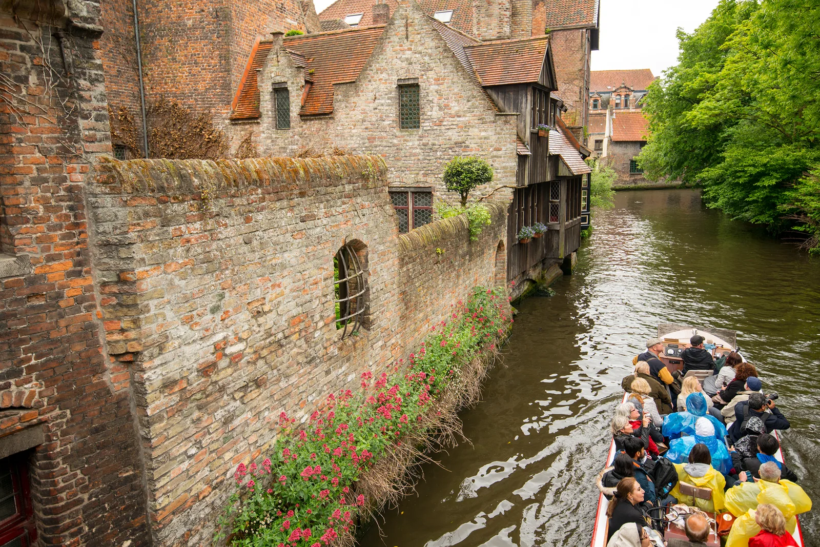 A canal tour boat on a Bruges canal