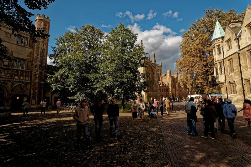A walking group in a Cambridge lane
