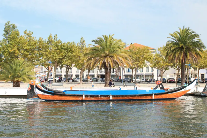 Colorful moliceiro boats on a canal in Aveiro