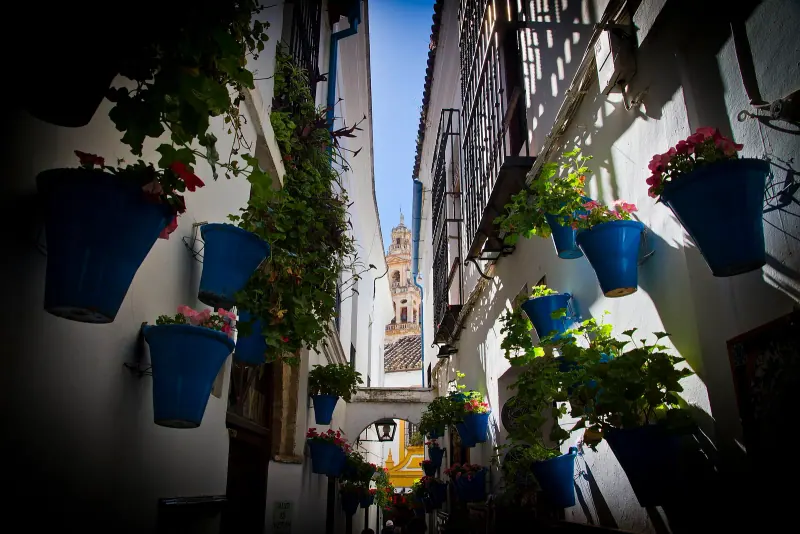 The Calleja de las Flores in Cordoba's Juderia