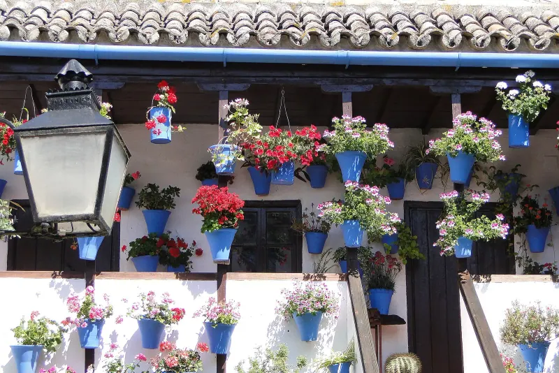 A flower-laden patio courtyard, Cordoba