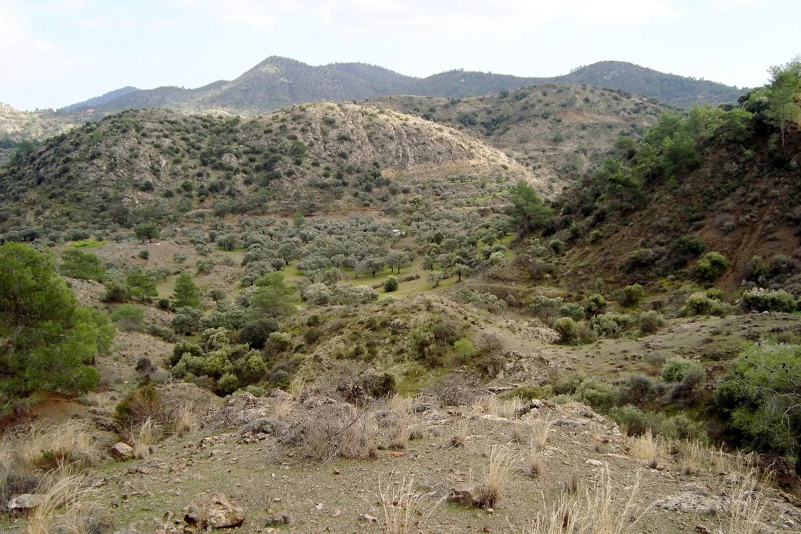 Village on a Troodos slope