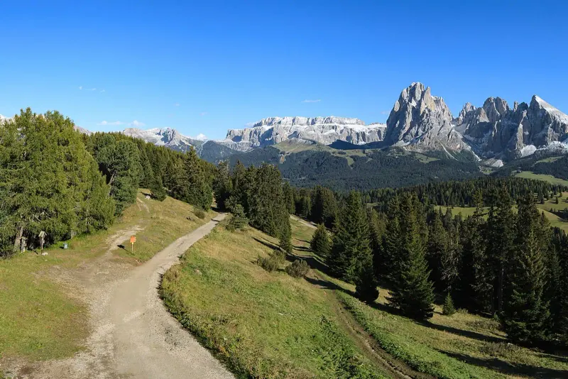 Meadows of the Alpe di Siusi below the Sassolungo peaks