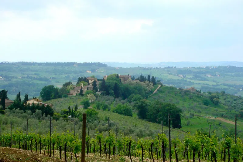 Vineyards and hills in the Chianti countryside