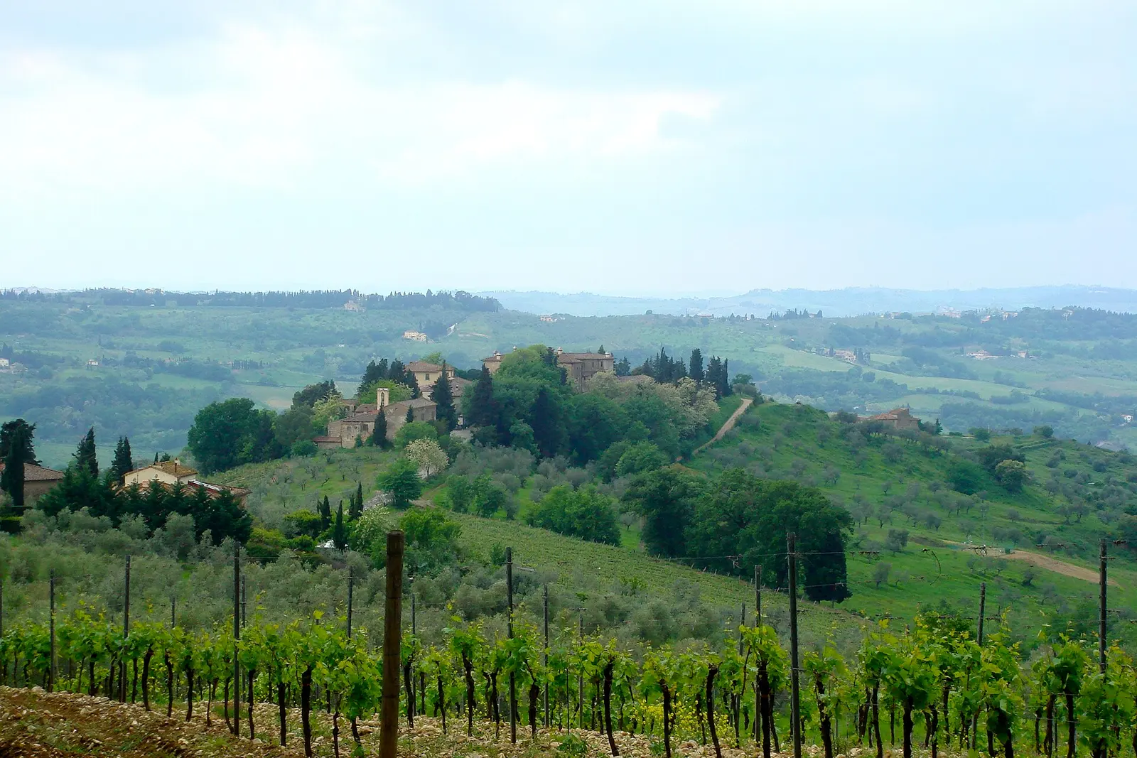 Vineyards and hills in the Chianti countryside