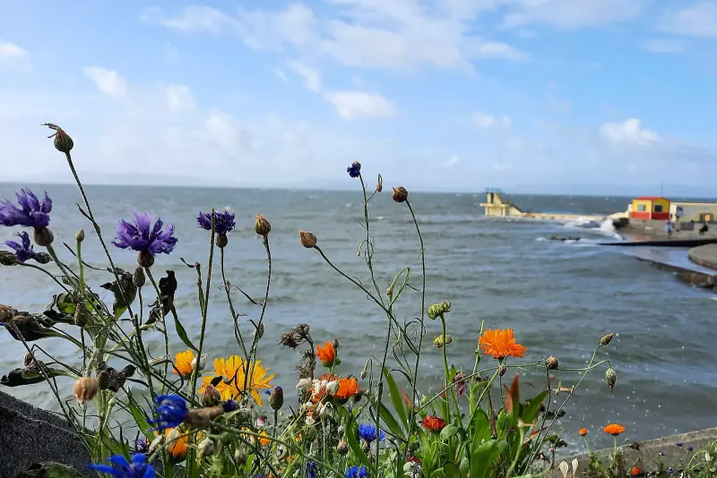 The Blackrock diving tower at Salthill in Galway