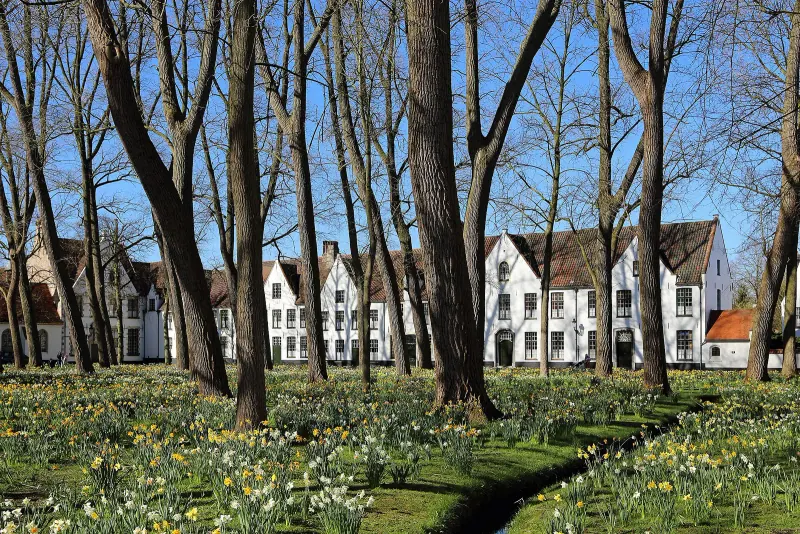 The white houses of the Bruges beguinage