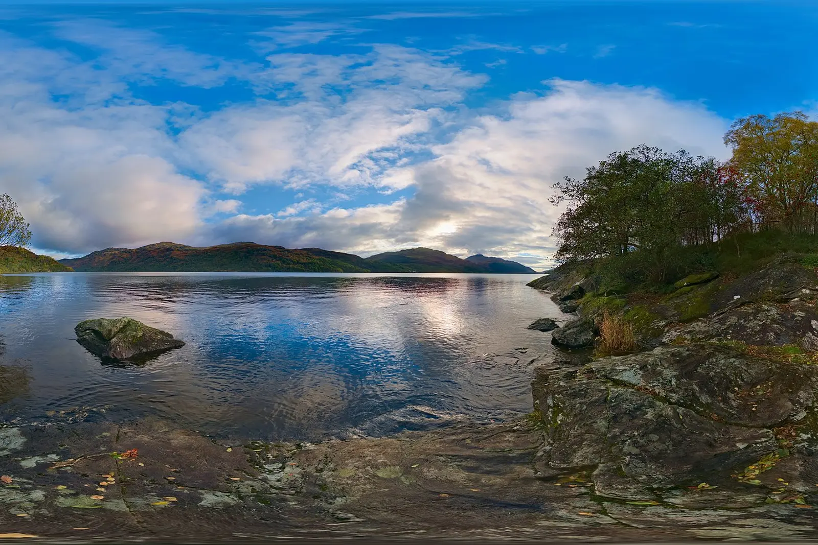 The wooded shore of Loch Lomond under a blue sky