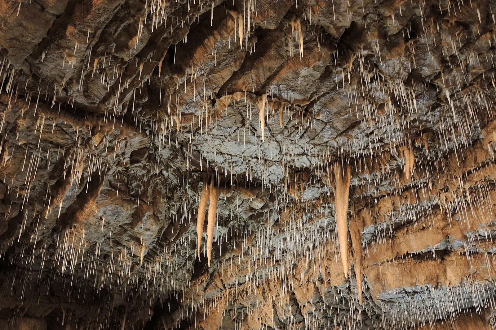 Inside the Lurgrotte cave near Graz