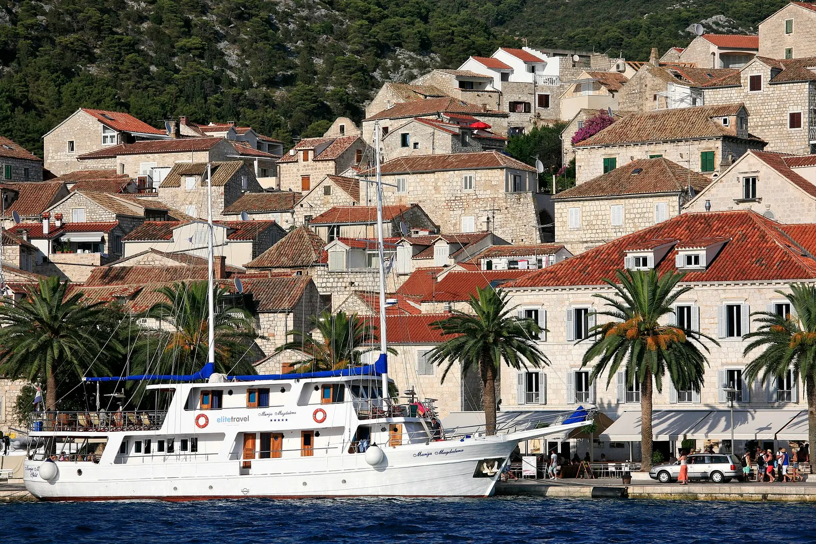 Stone houses of Hvar Town rising above palms and boats on the harbor