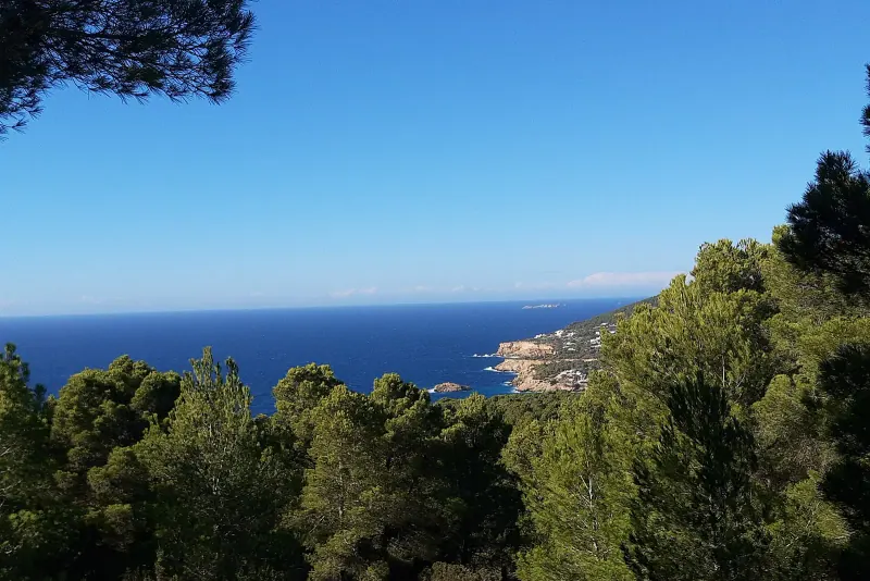 Cala d'Hort beach with Es Vedra offshore, Ibiza