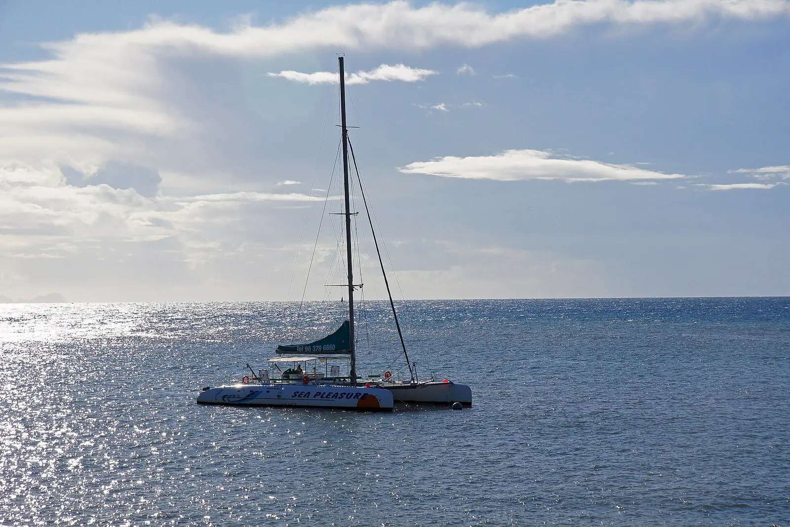 A catamaran sailing out of Funchal harbour