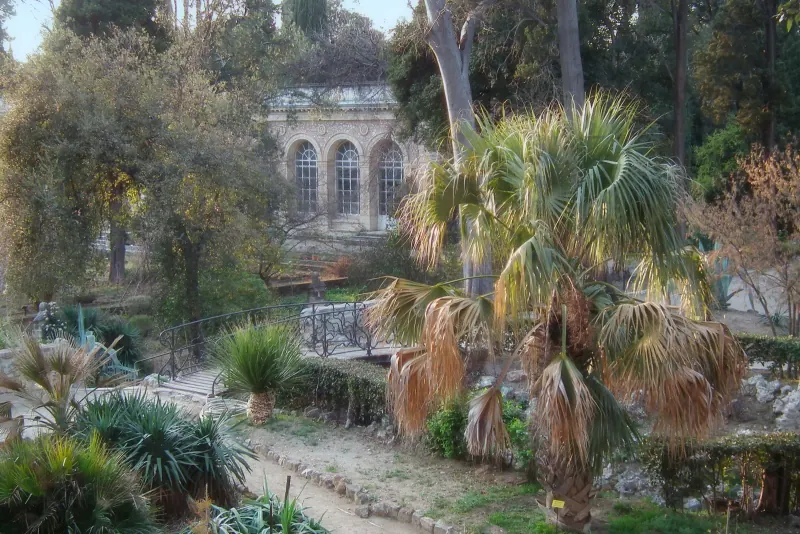 Tree-lined paths inside Montpellier's Jardin des Plantes