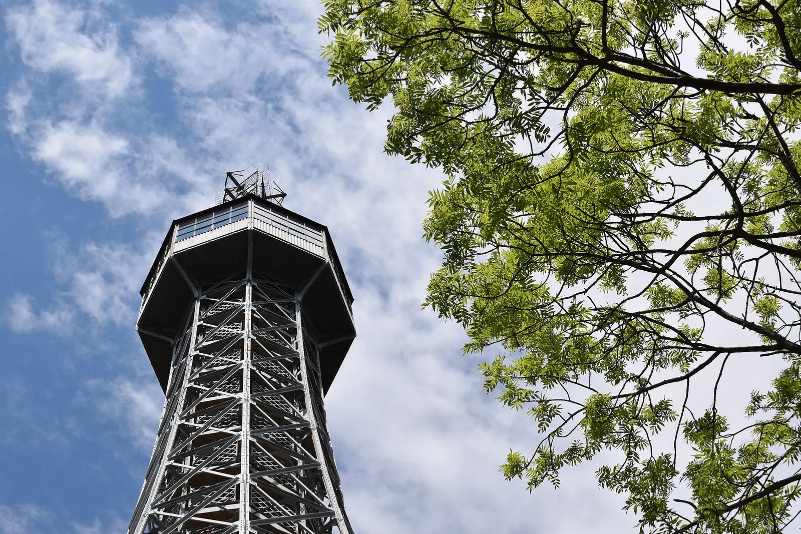 The Petrin Lookout Tower above the park trees