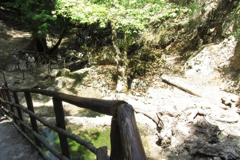 A shaded path through the Valley of the Butterflies, Rhodes