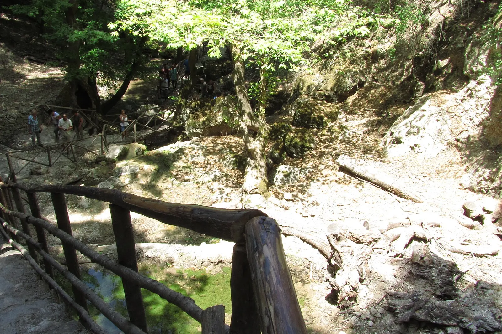 A shaded path through the Valley of the Butterflies, Rhodes