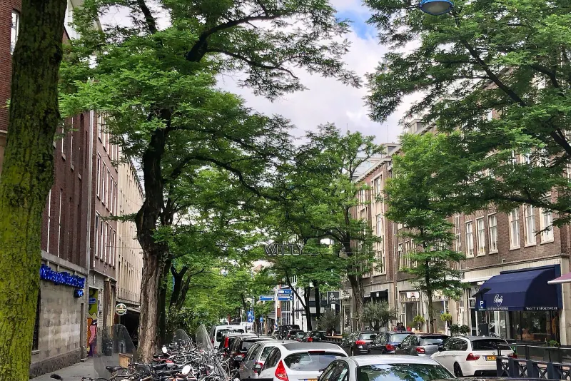 Witte de Withstraat in Rotterdam's centre