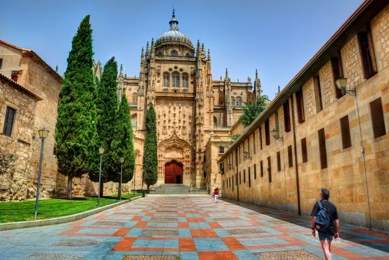 The cathedral of Salamanca seen from the Patio Chico approach