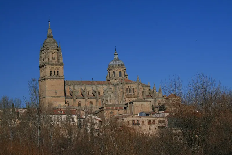 Salamanca's cathedral seen from the Roman bridge over the Tormes