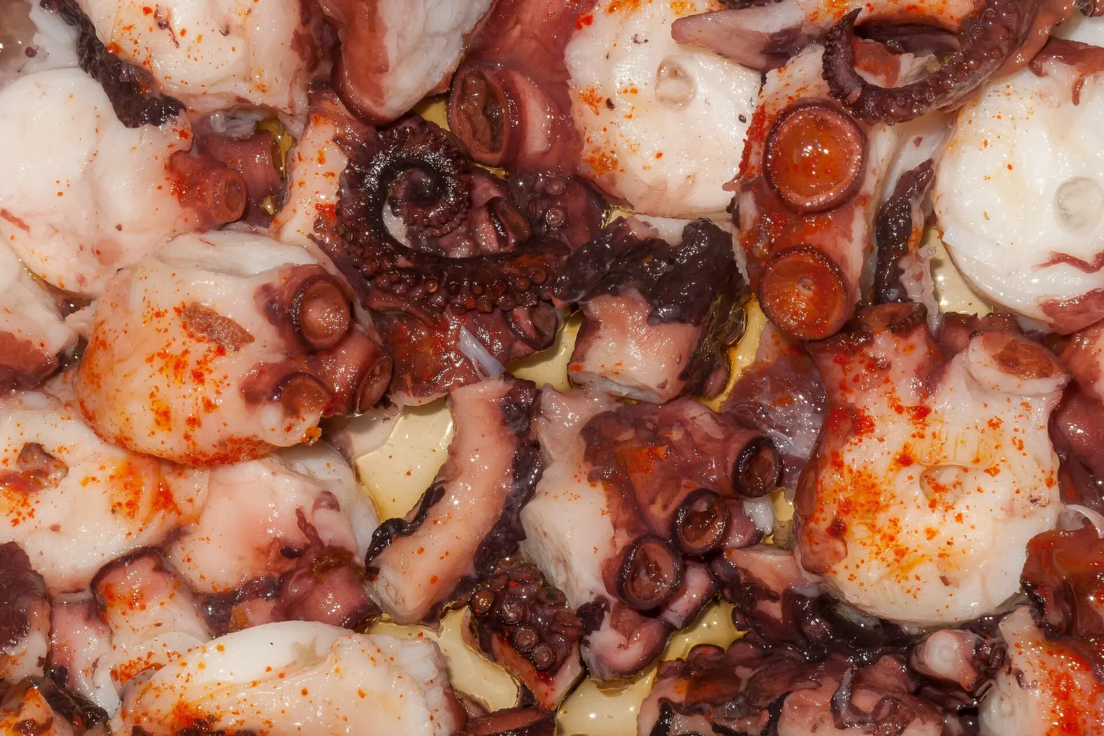 Polbo a feira, Galicia's octopus dish