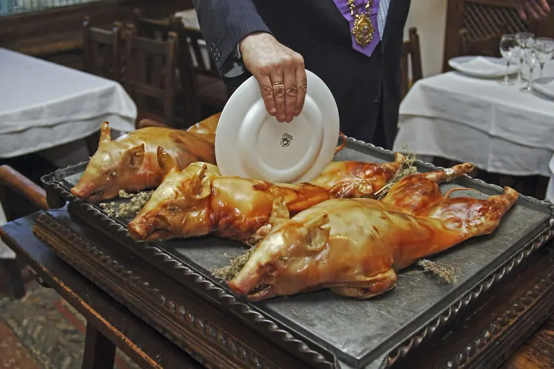 Roast suckling pigs carved tableside with the edge of a plate
