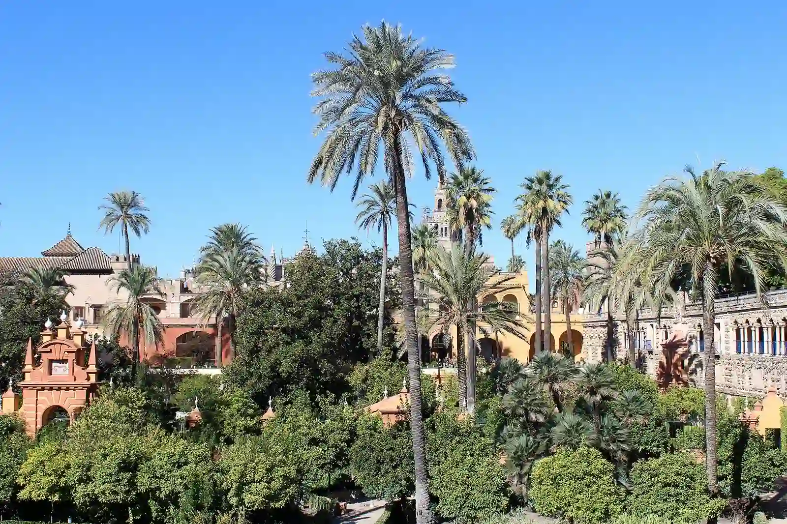Jardin de las Damas courtyard garden in the Alcazar of Seville