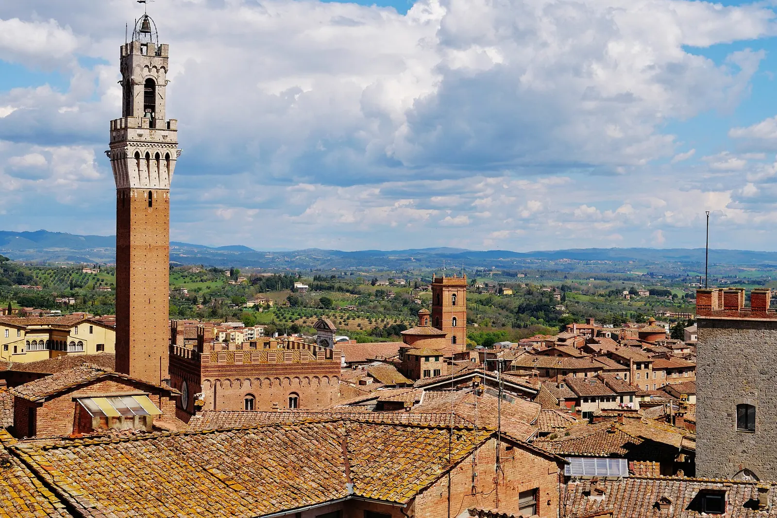 The Torre del Mangia rising over Siena's rooftops