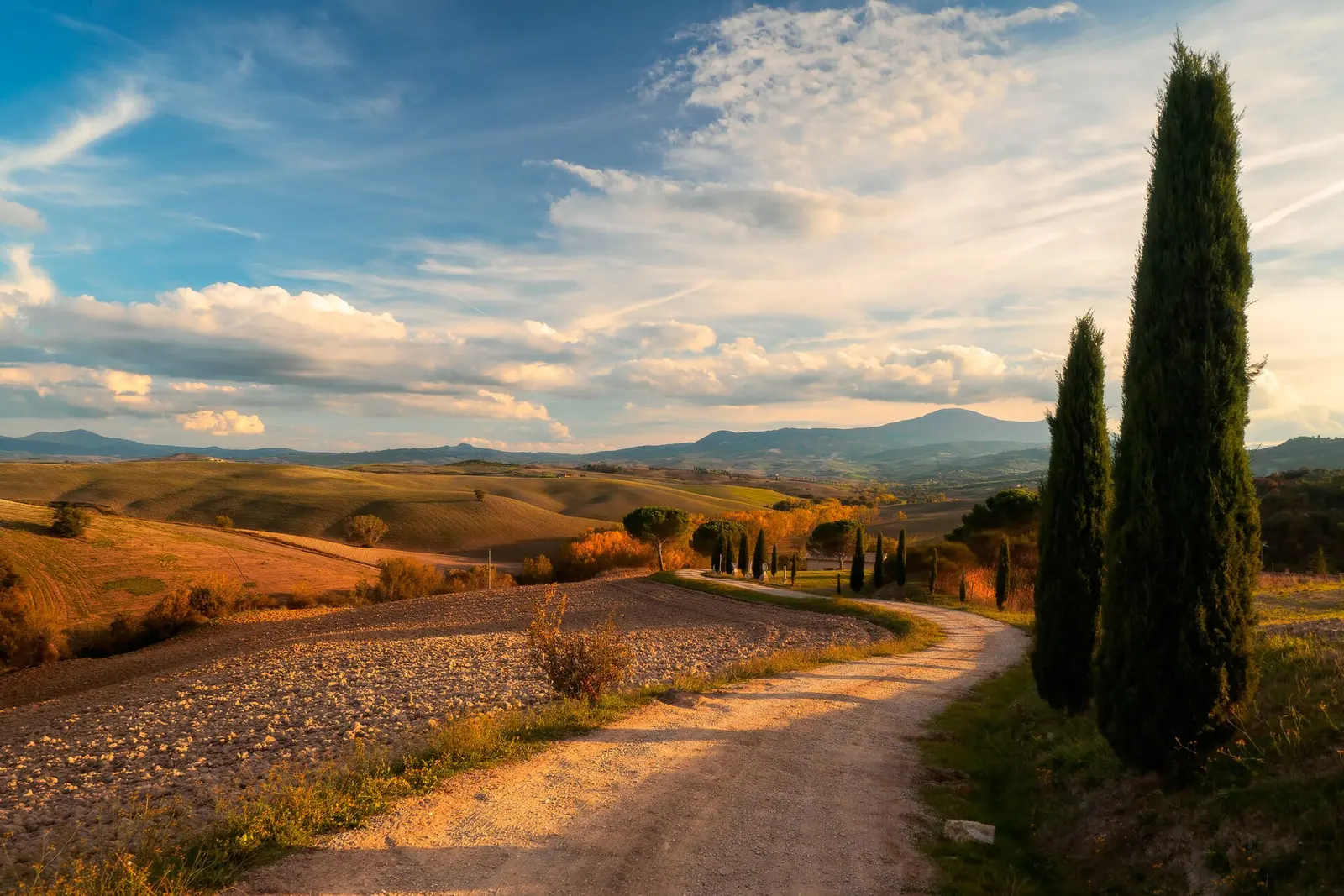 A cypress-lined road winding through the Val d'Orcia hills