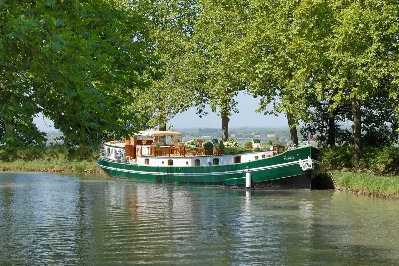 A canal boat under the plane trees of the Canal du Midi