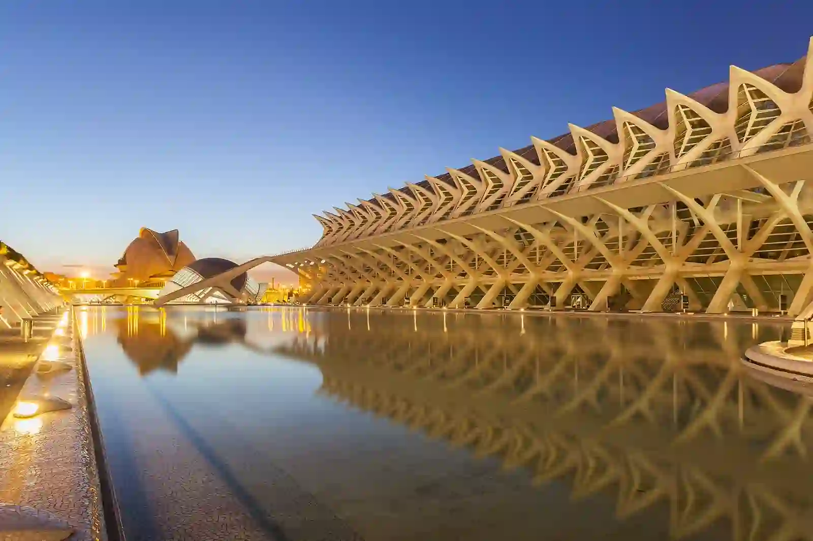 Principe Felipe science museum reflected in the pool at dusk