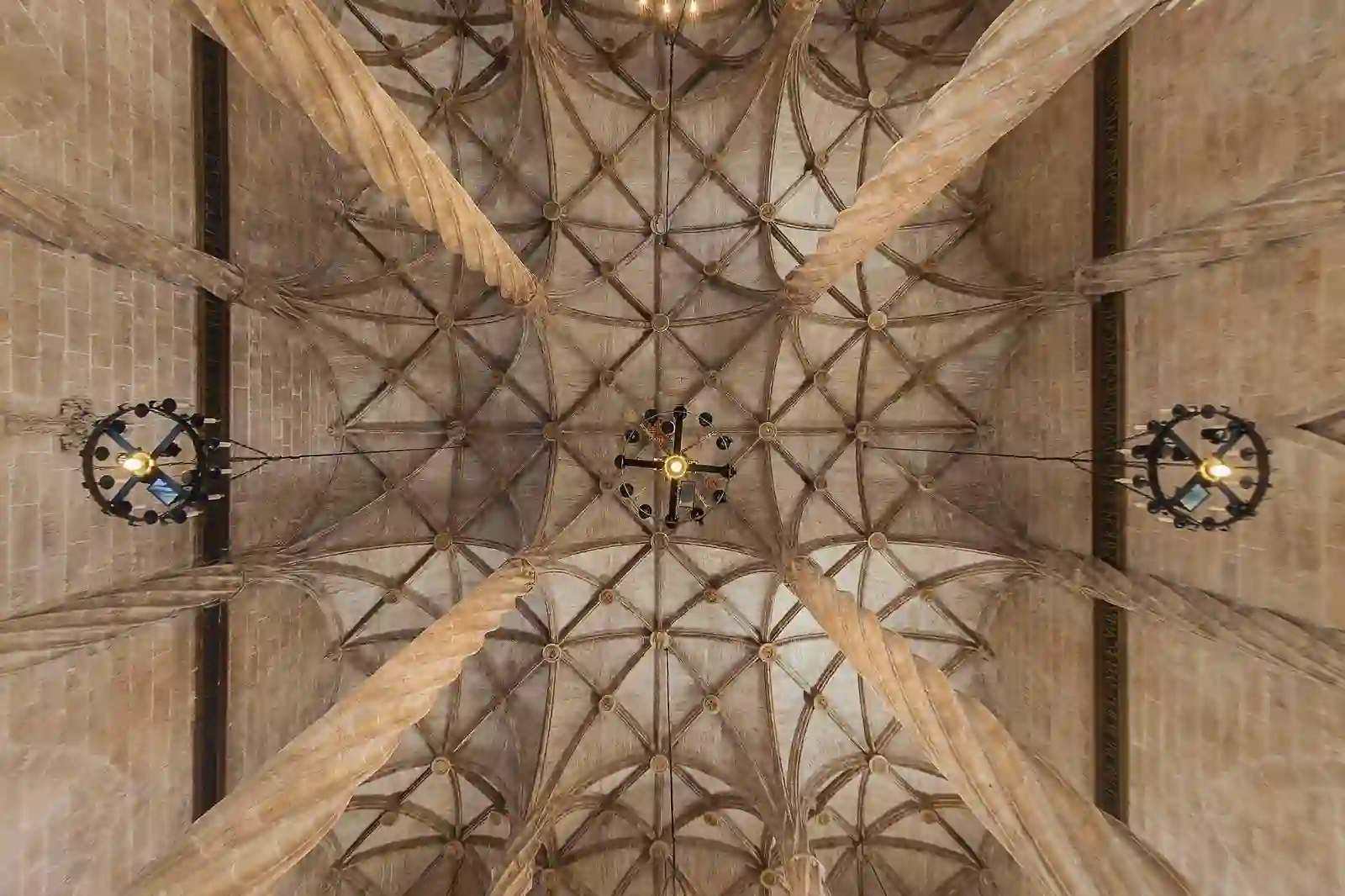 Palm vaulted ceiling of the Contract Hall in La Lonja de la Seda