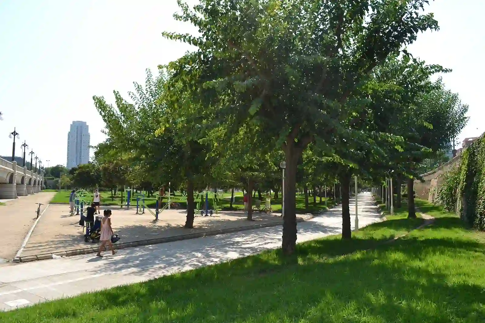 Cyclists on a path through the Turia gardens in Valencia