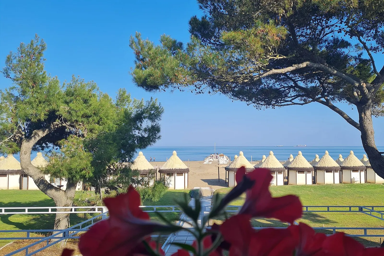 Beach cabins on the Lido di Venezia seen through trees