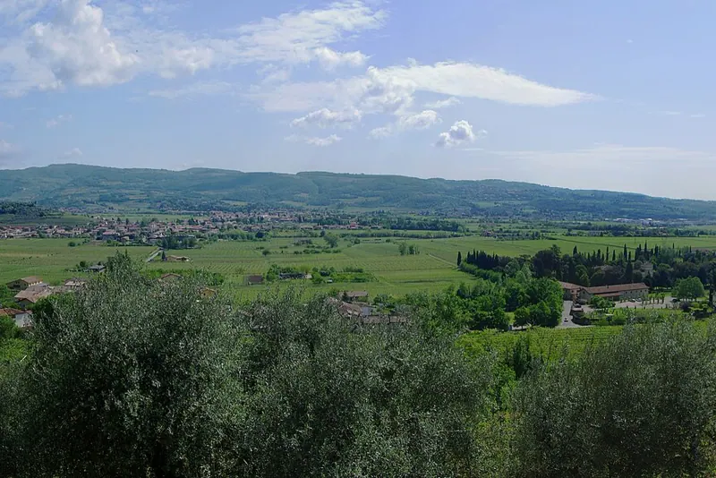 Vineyards on the Valpolicella hills