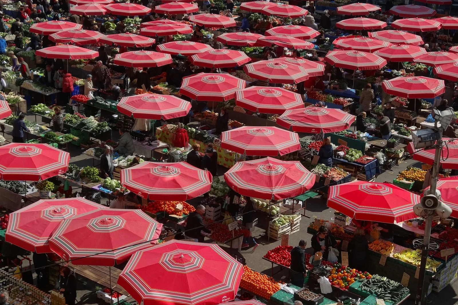 Red umbrellas over Zagreb's Dolac market