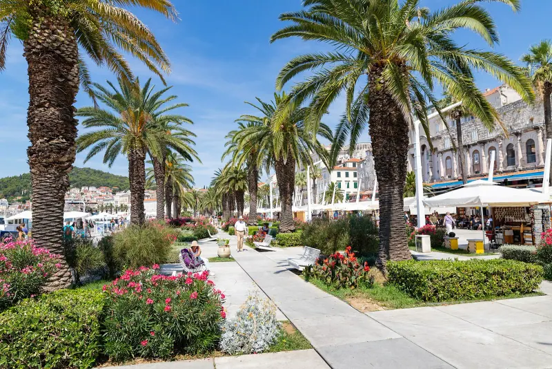 Split's Riva promenade under the palms